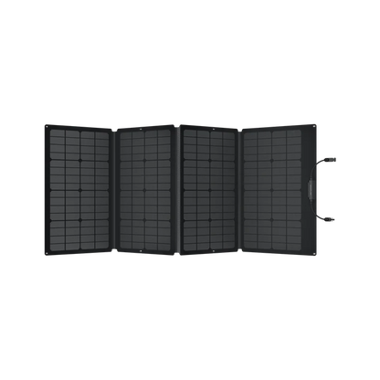 EcoFlow 160W Portable Solar Panel - Techvue