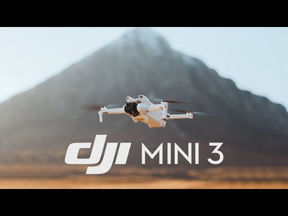 DJI Mini 3 Fly More Combo (DJI RC) 2024